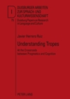 Understanding Tropes : At the Crossroads between Pragmatics and Cognition - Book