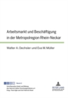 Arbeitsmarkt Und Beschaeftigung in Der Metropolregion Rhein-Neckar - Book