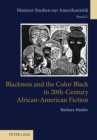 Blackness and the Color Black in 20th-Century African-American Fiction - Book