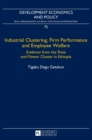 Industrial Clustering, Firm Performance and Employee Welfare : Evidence from the Shoe and Flower Cluster in Ethiopia - Book