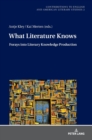 What Literature Knows : Forays into Literary Knowledge Production - Book