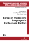 European Pluricentric Languages in Contact and Conflict - eBook