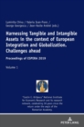Harnessing Tangible and Intangible Assets in the context of European Integration and Globalization: Challenges ahead : Proceedings of ESPERA 2019 - Book