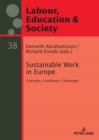 Sustainable Work in Europe : Concepts, Conditions, Challenges - eBook