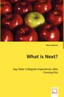 What Is Next? Gay Male Collegiate Experiences After Coming-Out - Book