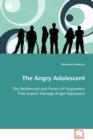 The Angry Adolescent - Book