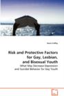 Risk and Protective Factors for Gay, Lesbian, and Bisexual Youth - Book