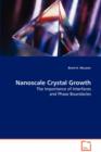 Nanoscale Crystal Growth - Book