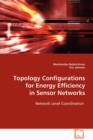 Topology Configurations for Energy Efficiency in Sensor Networks - Book