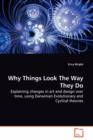 Why Things Look the Way They Do - Book