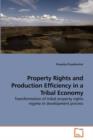 Property Rights and Production Efficiency in a Tribal Economy - Book