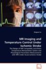 MR Imaging and Temperature Control Under Ischemic Stroke - Book