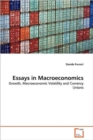Essays in Macroeconomics - Book