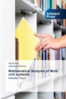 Mathematical Analysis of Multi unit systems - Book