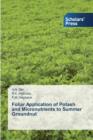 Foliar Application of Potash and Micronutrients to Summer Groundnut - Book