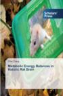 Metabolic Energy Balances in Ketotic Rat Brain - Book