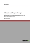 Adaptation und Phosphorylierung in Cyanobakterien : Kompensatorische, reversible Phosphorylierung und Zweikomponentensysteme - Book