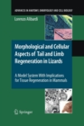 Morphological and Cellular Aspects of Tail and Limb Regeneration in Lizards : A Model System With Implications for Tissue Regeneration in Mammals - Book