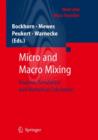 Micro and Macro Mixing : Analysis, Simulation and Numerical Calculation - Book