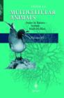 Multicellular Animals : Order in Nature : System Made by Man Order in Nature - System Made by Man Volume III - Book