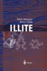 Illite : Origins, Evolution and Metamorphism - Book