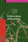 In Vitro Culture of Mycorrhizas - Book
