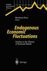 Endogenous Economic Fluctuations : Studies in the Theory of Rational Beliefs - Book