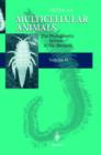 Multicellular Animals : Volume II: The Phylogenetic System of the Metazoa - Book