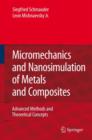 Micromechanics and Nanosimulation of Metals and Composites : Advanced Methods and Theoretical Concepts - Book