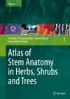 Atlas of Stem Anatomy in Herbs, Shrubs and Trees : Volume 1 - eBook