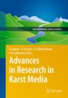 Advances in Research in Karst Media - Book