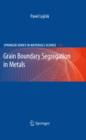 Grain Boundary Segregation in Metals - eBook
