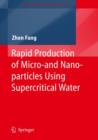 Rapid Production of Micro- and Nano-particles Using Supercritical Water - Book