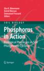 Phosphorus in Action : Biological Processes in Soil Phosphorus Cycling - eBook