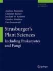 Strasburger's Plant Sciences : Including Prokaryotes and Fungi - eBook