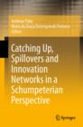 Catching Up, Spillovers and Innovation Networks in a Schumpeterian Perspective - eBook