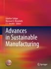 Advances in Sustainable Manufacturing - eBook