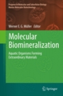 Molecular Biomineralization : Aquatic Organisms Forming Extraordinary Materials - eBook