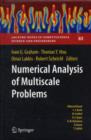 Numerical Analysis of Multiscale Problems - Book