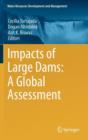Impacts of Large Dams: A Global Assessment - Book