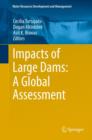 Impacts of Large Dams: A Global Assessment - eBook