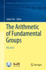 The Arithmetic of Fundamental Groups : PIA 2010 - eBook