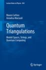 Quantum Triangulations : Moduli Spaces, Strings, and Quantum Computing - Book