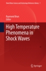 High Temperature Phenomena in Shock Waves - eBook