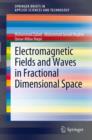 Electromagnetic Fields and Waves in Fractional Dimensional Space - eBook
