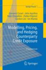 Modelling, Pricing, and Hedging Counterparty Credit Exposure : A Technical Guide - Book