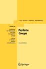 Profinite Groups - Book