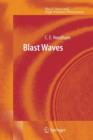 Blast Waves - Book
