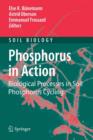 Phosphorus in Action : Biological Processes in Soil Phosphorus Cycling - Book