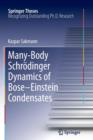 Many-Body Schroedinger Dynamics of Bose-Einstein Condensates - Book